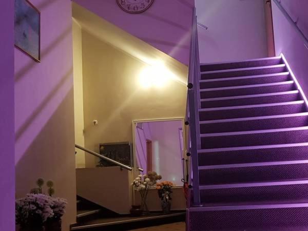 Sympatik Bed & Breakfast Jastrzębia Góra Dış mekan fotoğraf